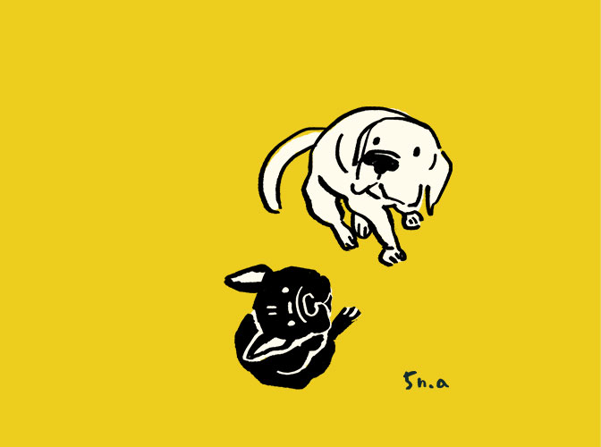 みあげる犬たち